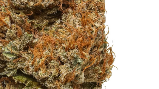 THCA: Your Guide to Its Healing Powers and Health Benefits