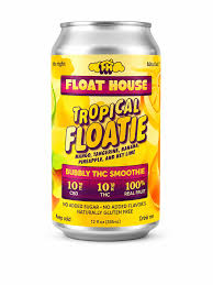 Floathouse Tropical Floatie 10mg THC 10mg CBG